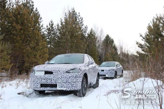 汽车在低温情况下冷车启动后猛踩油门