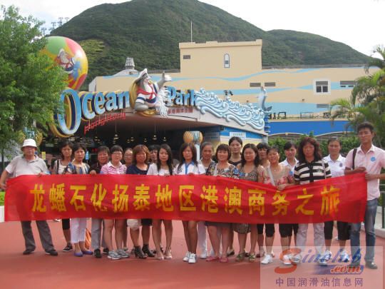 龙蟠石化